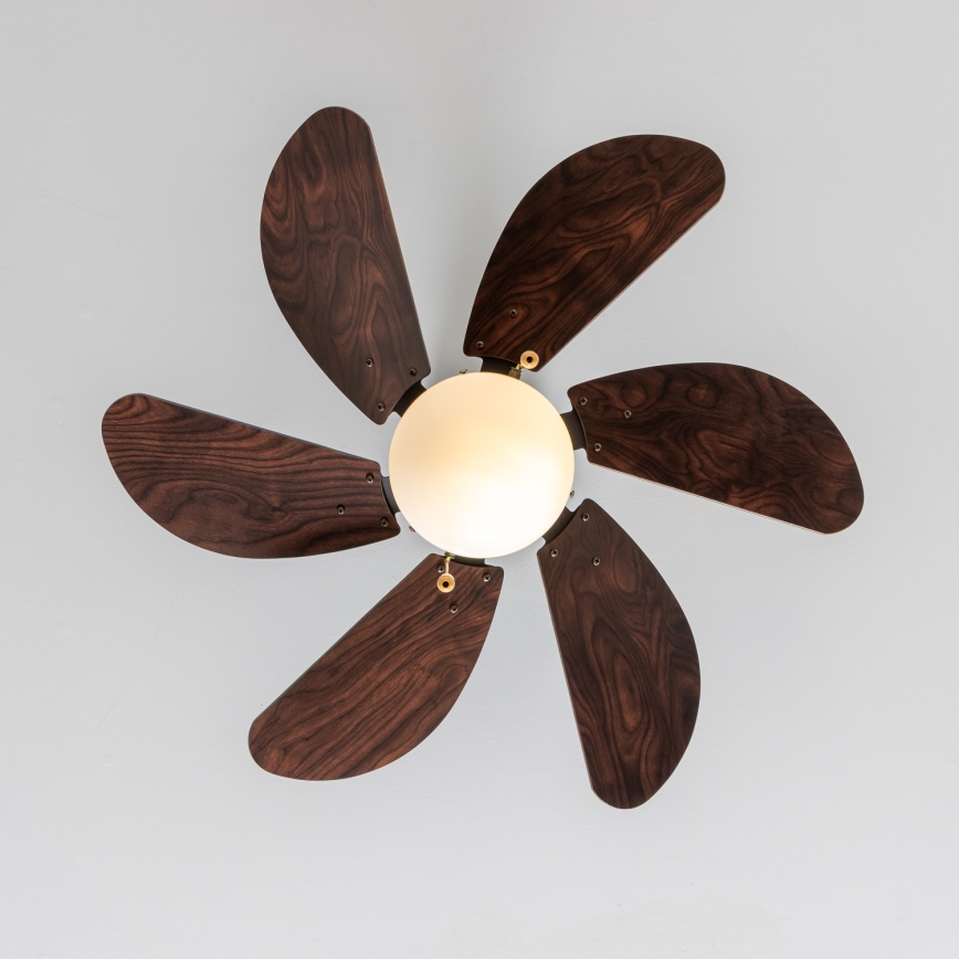 ZEVENTI - Stropní ventilátor FAMARA 1xE14/60W/230V