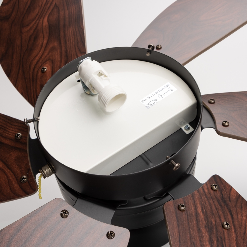 ZEVENTI - Stropní ventilátor FAMARA 1xE14/60W/230V