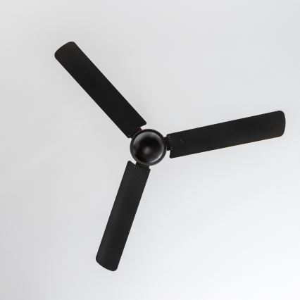 ZEVENTI - Stropní ventilátor TOFINO černá