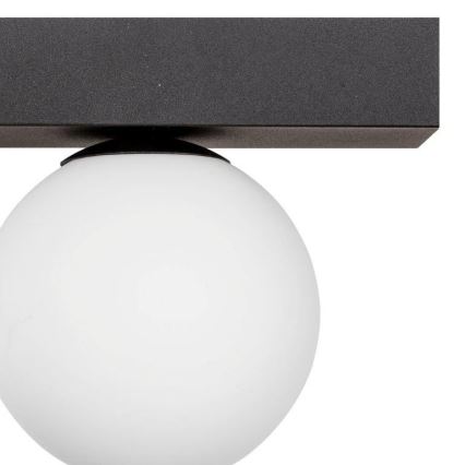 Zuma Line - Stropní svítidlo 2xG9/8W/230V černá