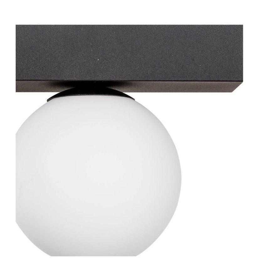 Zuma Line - Stropní svítidlo 2xG9/8W/230V černá