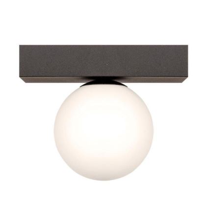 Zuma Line - Stropní svítidlo 1xG9/8W/230V černá