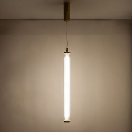 Zuma Line - LED Stmívatelný lustr na lanku LED/26W/230V 2700-6500K zlatá + dálkové ovládání