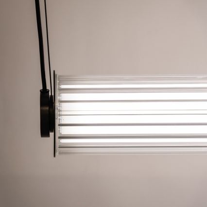 Zuma Line - LED Stmívatelný lustr na lanku LED/39W/230V 2700-6500K černá + dálkové ovládání
