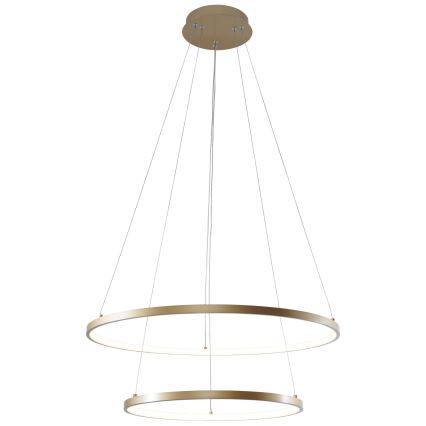 Zuma Line - LED Lustr na lanku LED/50W/230V 3000/4000/6000K pr. 60 cm zlatá