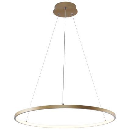 Zuma Line - LED Lustr na lanku LED/28W/230V 3000/4000/6000K pr. 60 cm zlatá