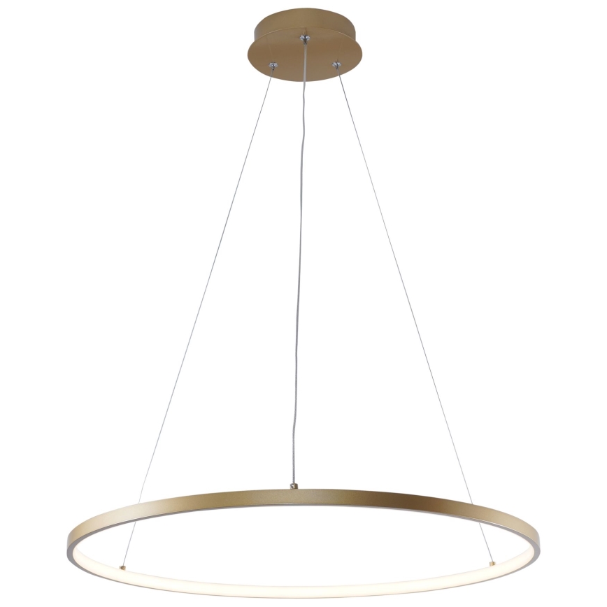 Zuma Line - LED Lustr na lanku LED/28W/230V 3000/4000/6000K pr. 60 cm zlatá