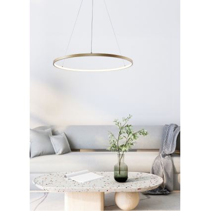 Zuma Line - LED Lustr na lanku LED/28W/230V 3000/4000/6000K pr. 60 cm zlatá