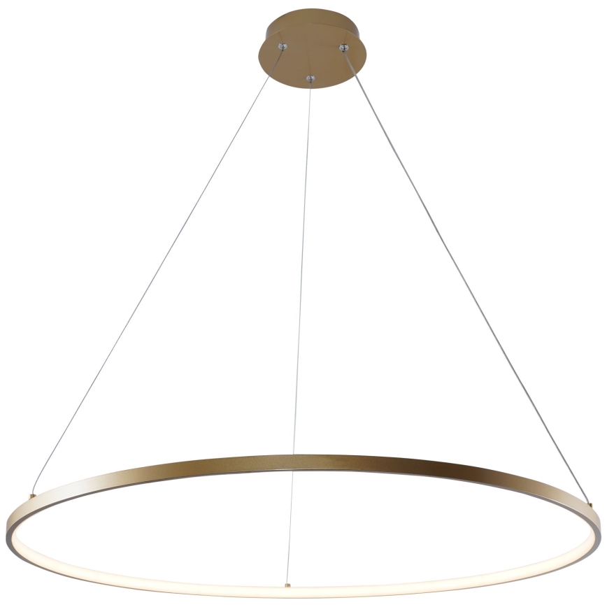 Zuma Line - LED Lustr na lanku LED/36W/230V 3000/4000/6000K pr. 80 cm zlatá