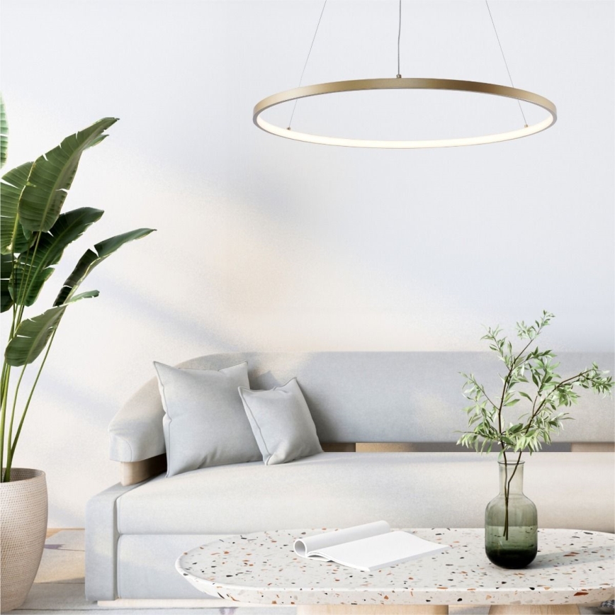 Zuma Line - LED Lustr na lanku LED/36W/230V 3000/4000/6000K pr. 80 cm zlatá