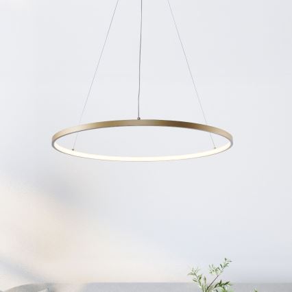 Zuma Line - LED Lustr na lanku LED/36W/230V 3000/4000/6000K pr. 80 cm zlatá
