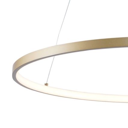 Zuma Line - LED Lustr na lanku LED/36W/230V 3000/4000/6000K pr. 80 cm zlatá