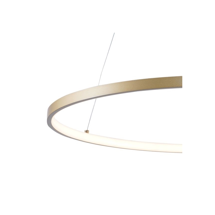 Zuma Line - LED Lustr na lanku LED/36W/230V 3000/4000/6000K pr. 80 cm zlatá