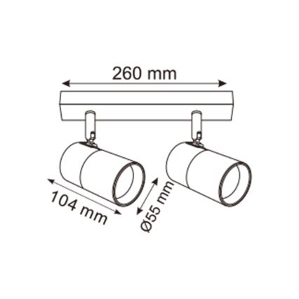Zuma Line - Bodové svítidlo 2xGU10/50W/230V černá/zlatá