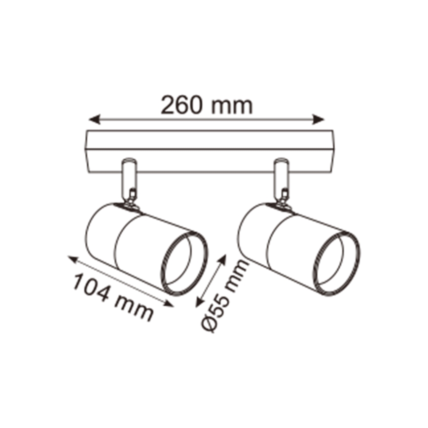 Zuma Line - Bodové svítidlo 2xGU10/50W/230V černá/zlatá