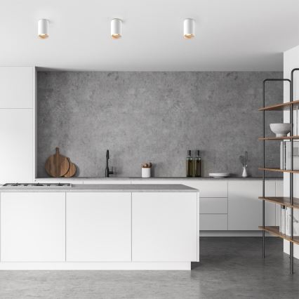 Zuma Line - LED RGBW Stmívatelné bodové svítidlo 1xGU10/4,8W/230V bílá + dálkové ovládání