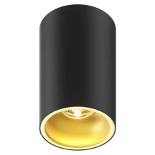 Zuma Line - Bodové svítidlo 1xGU10/50W/230V černá/zlatá