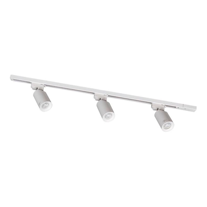 Zuma Line - Bodové svítidlo v lištovém systému 3xGU10/35W/230V bílá