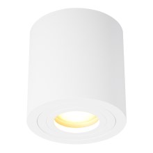 Zuma Line - Koupelnové bodové svítidlo 1xGU10/50W/230V IP44 bílá