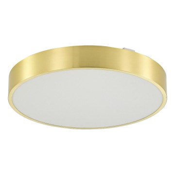 Zuma Line - LED Stmívatelné koupelnové stropní svítidlo LED/36W/230V 3000-6000K pr. 40 cm IP44 zlatá + dálkové ovládání