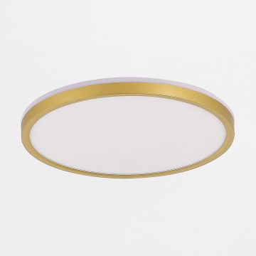 Zuma Line - LED Stmívatelné stropní svítidlo LED/38W/230V + LED/11W 3000/4000/5500K pr. 50 cm zlatá