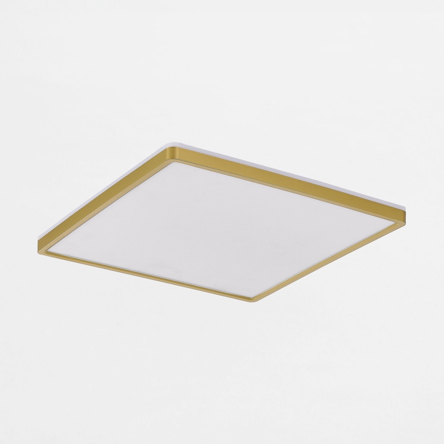 Zuma Line - LED Stmívatelné stropní svítidlo LED/38W/230V + LED/12W 3000/4000/5500K 40x40 cm zlatá