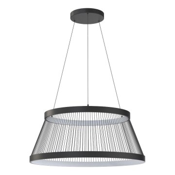 Zuma Line - LED Stmívatelný lustr na lanku LED/53W/230V 2700-6000K černá + dálkové ovládání
