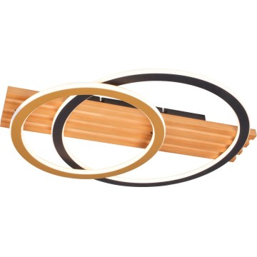 Zuma Line - LED Stropní svítidlo LED/40W/230V