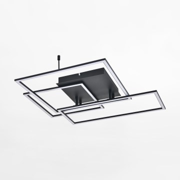Zuma Line - LED Stropní svítidlo LED/50W/230V černá