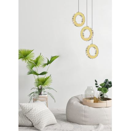 Zuma Line - LED Stmívatelný lustr na lanku LED/10W/230V zlatá