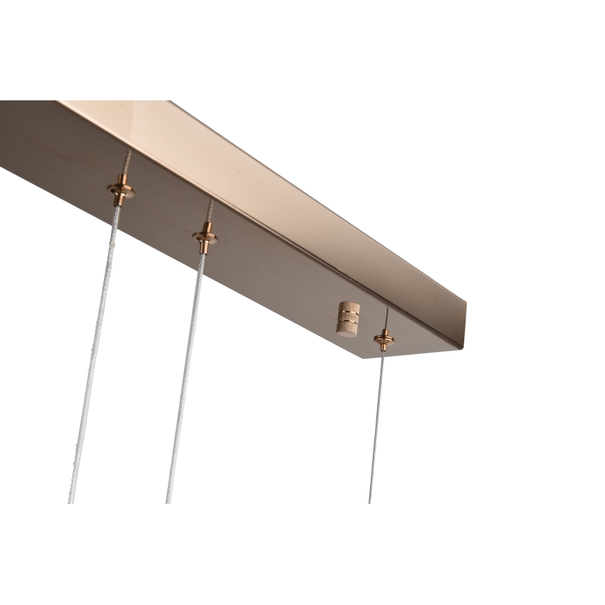 Zuma Line - LED Lustr na lanku LED/36W/230V rose gold