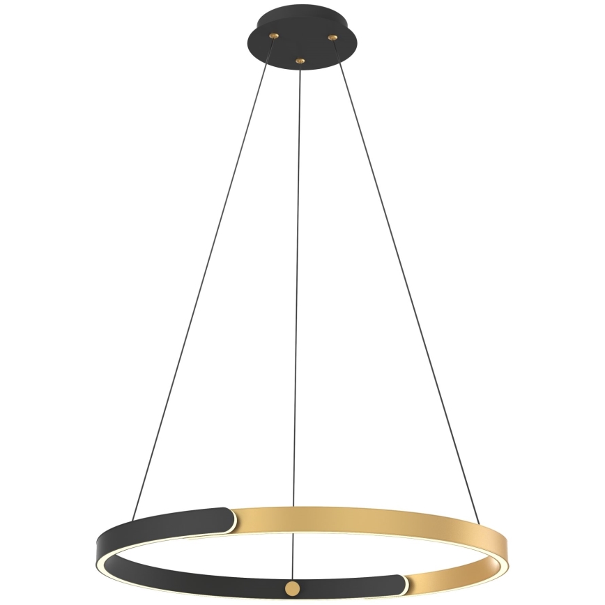 Zuma Line - LED Stmívatelný lustr na lanku LED/30W/230V černá/zlatá