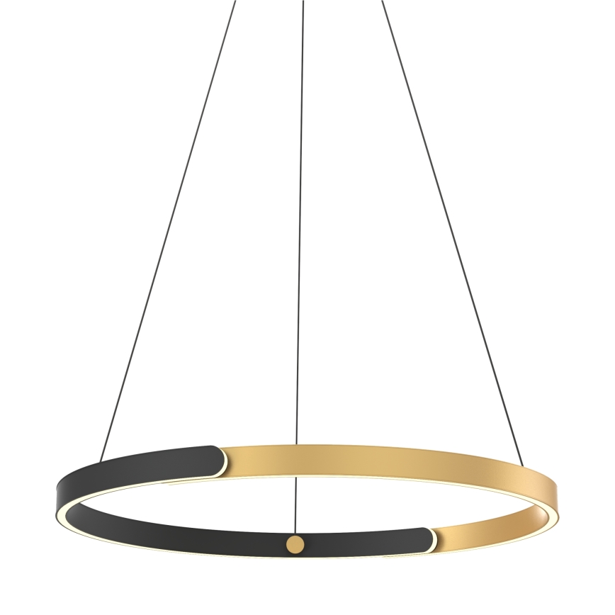 Zuma Line - LED Stmívatelný lustr na lanku LED/30W/230V černá/zlatá