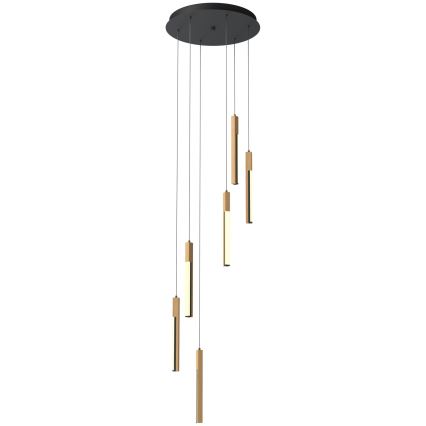 Zuma Line - LED Stmívatelný lustr na lanku LED/25W/230V
