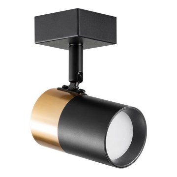 Zuma Line - Nástěnné bodové svítidlo 1xGU10/50W/230V černá/zlatá