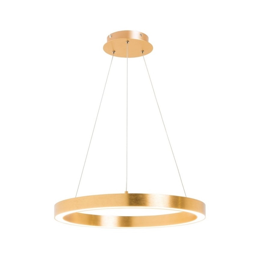 Zuma Line - LED Lustr na lanku 1xLED/30W/230V 40 cm zlatá