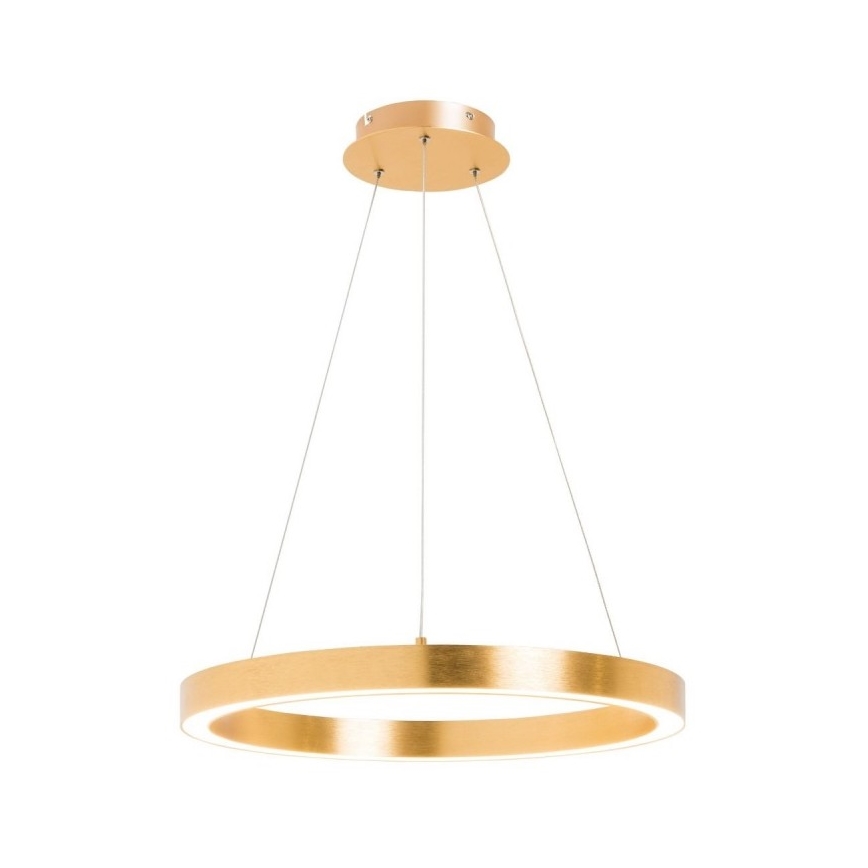 Zuma Line - LED Lustr na lanku 1xLED/40W/230V pr. 50 cm zlatá