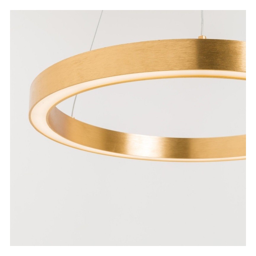 Zuma Line - LED Lustr na lanku 1xLED/40W/230V pr. 50 cm zlatá