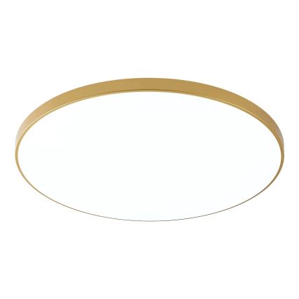 Zuma Line - LED Stropní svítidlo VERI LED/44W/230V pr. 47 cm zlatá